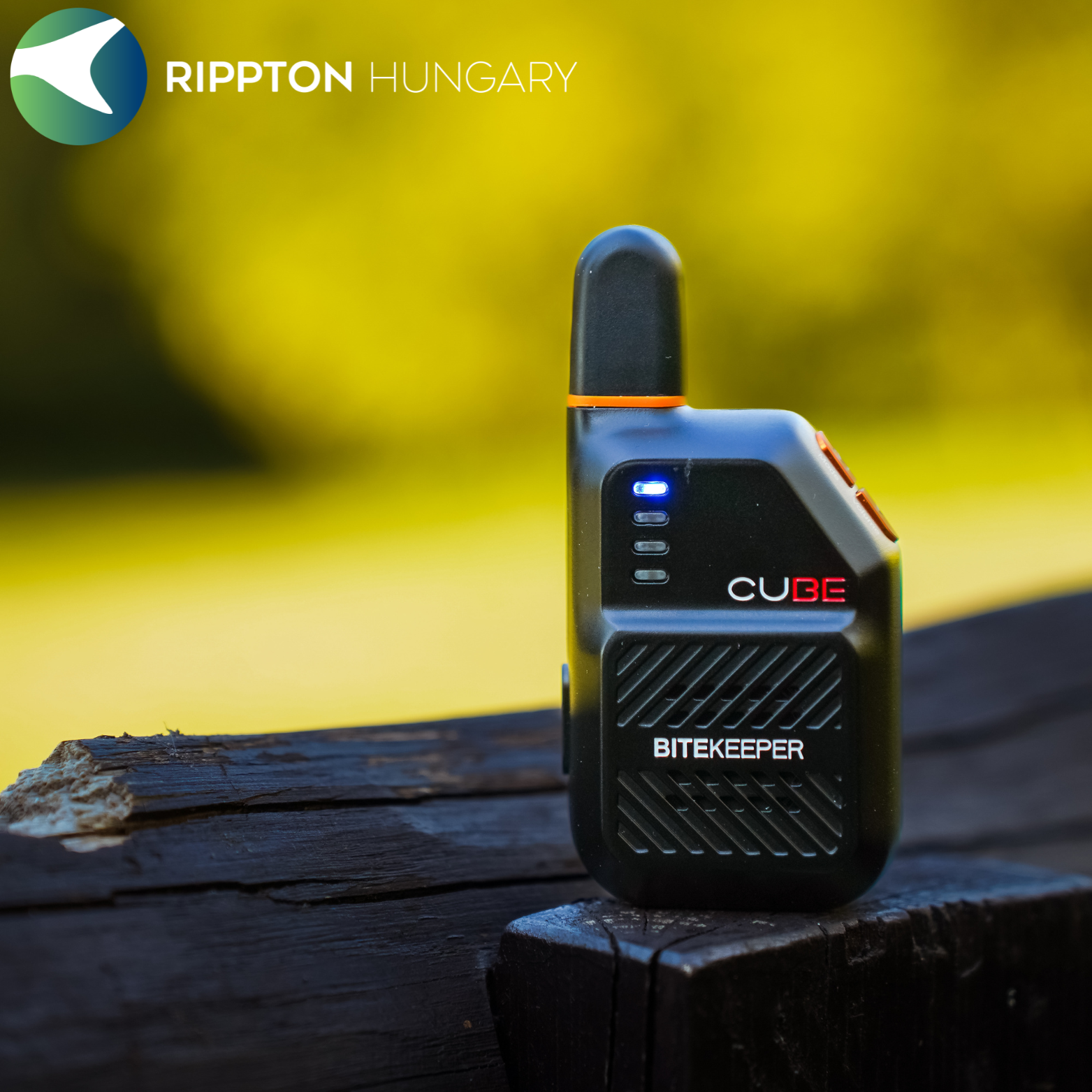 Rippton - Indicator de mușcătură cub