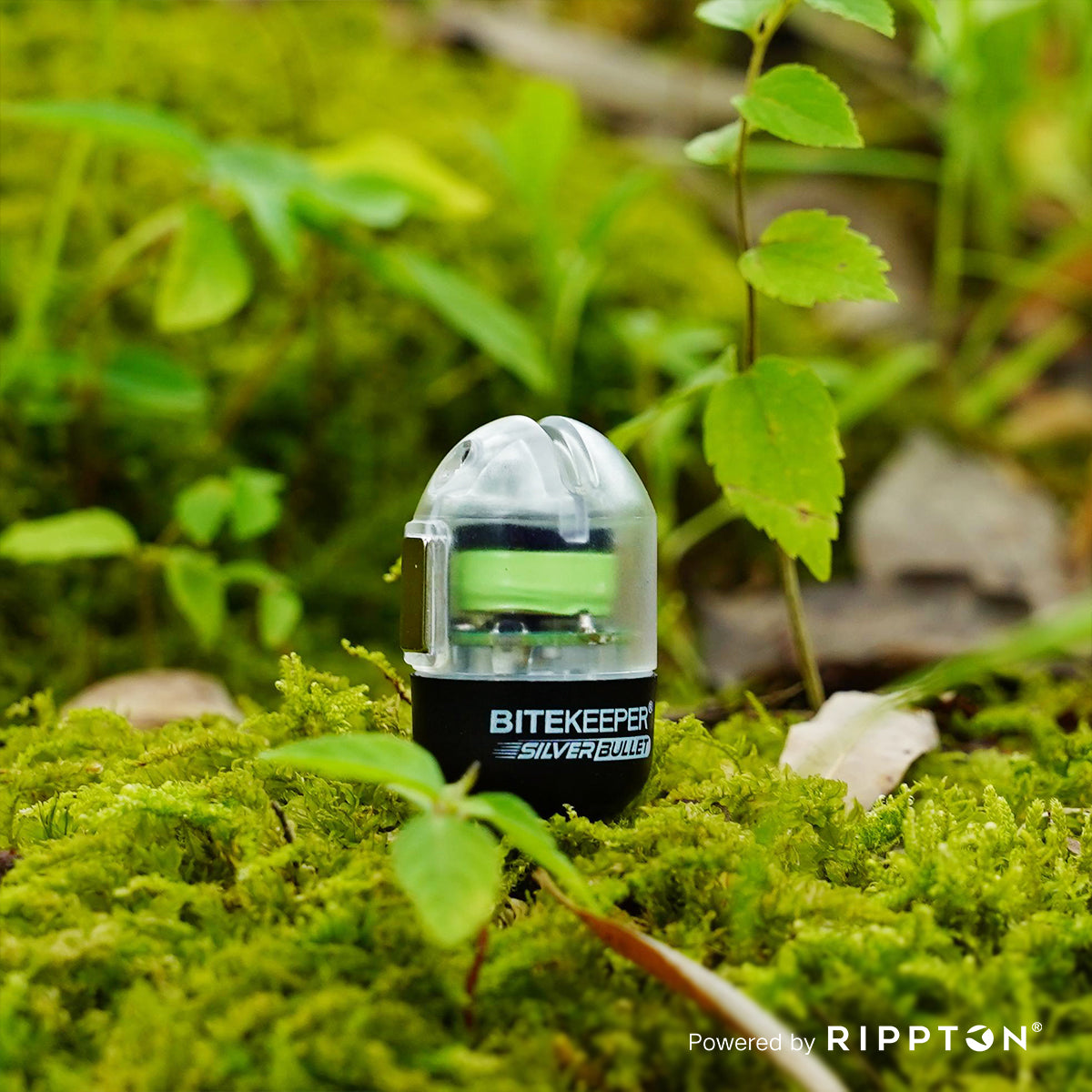 Rippton - Silver Bullet Bobbins Swinger és kapásjelző 3in1