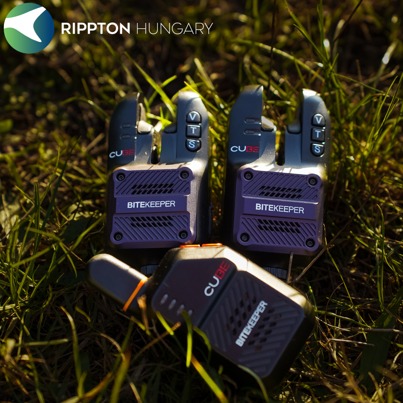 Rippton - Indicator de mușcătură cub